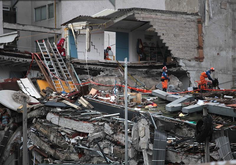  Rescatistas de la brigada del Japón y su perro continúan las labores de búsqueda de cuerpos y personas con vida en el edificio de Álvaro Obregón.  /  Foto: EFE