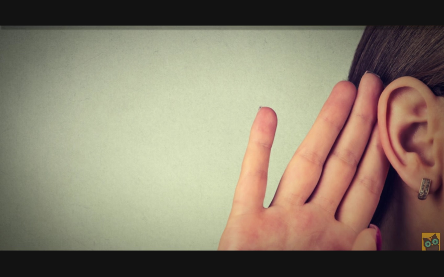 Captura de video  Dailymotion.