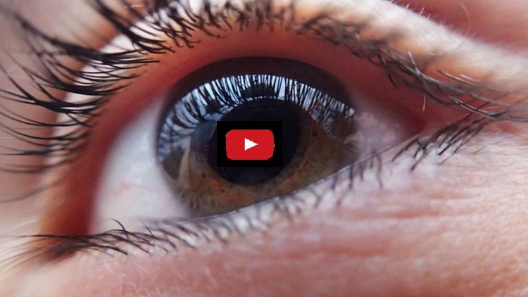 Foto Ilustrativa Pixabay