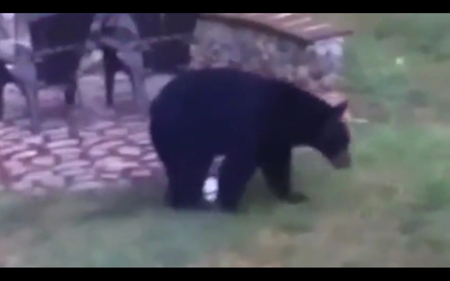 Captura de video  Dailymotion.