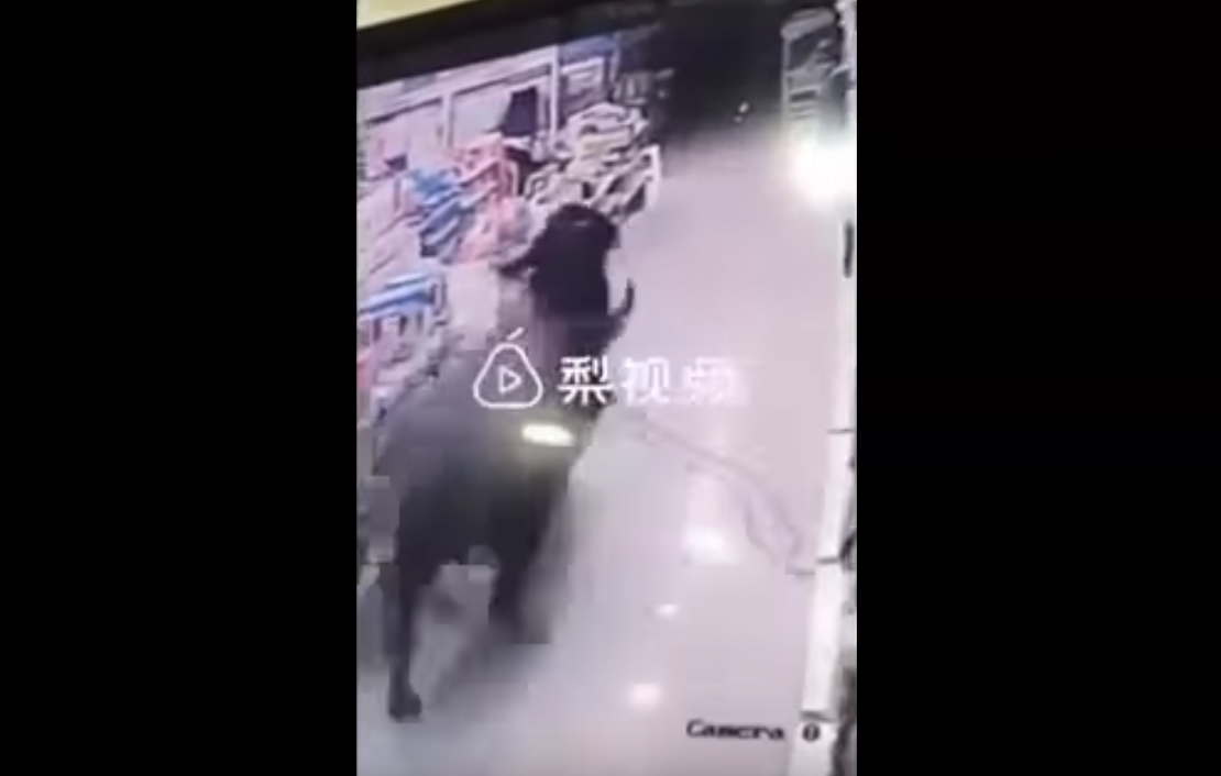 Captura de video  cosas ocurrentes