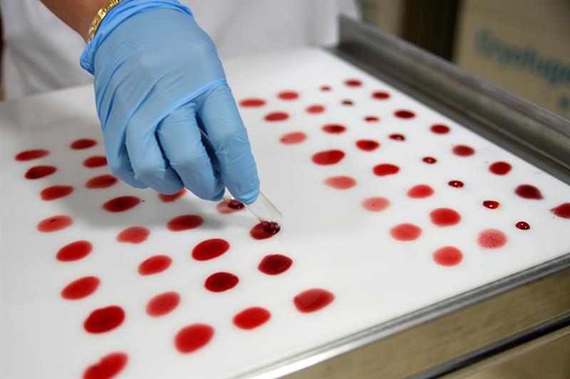 Investigadores nipones han desarrollado una prueba sanguínea para detectar cáncer e identificar el tipo de tumor con una precisión de casi el 90 %. EFE/Archivo