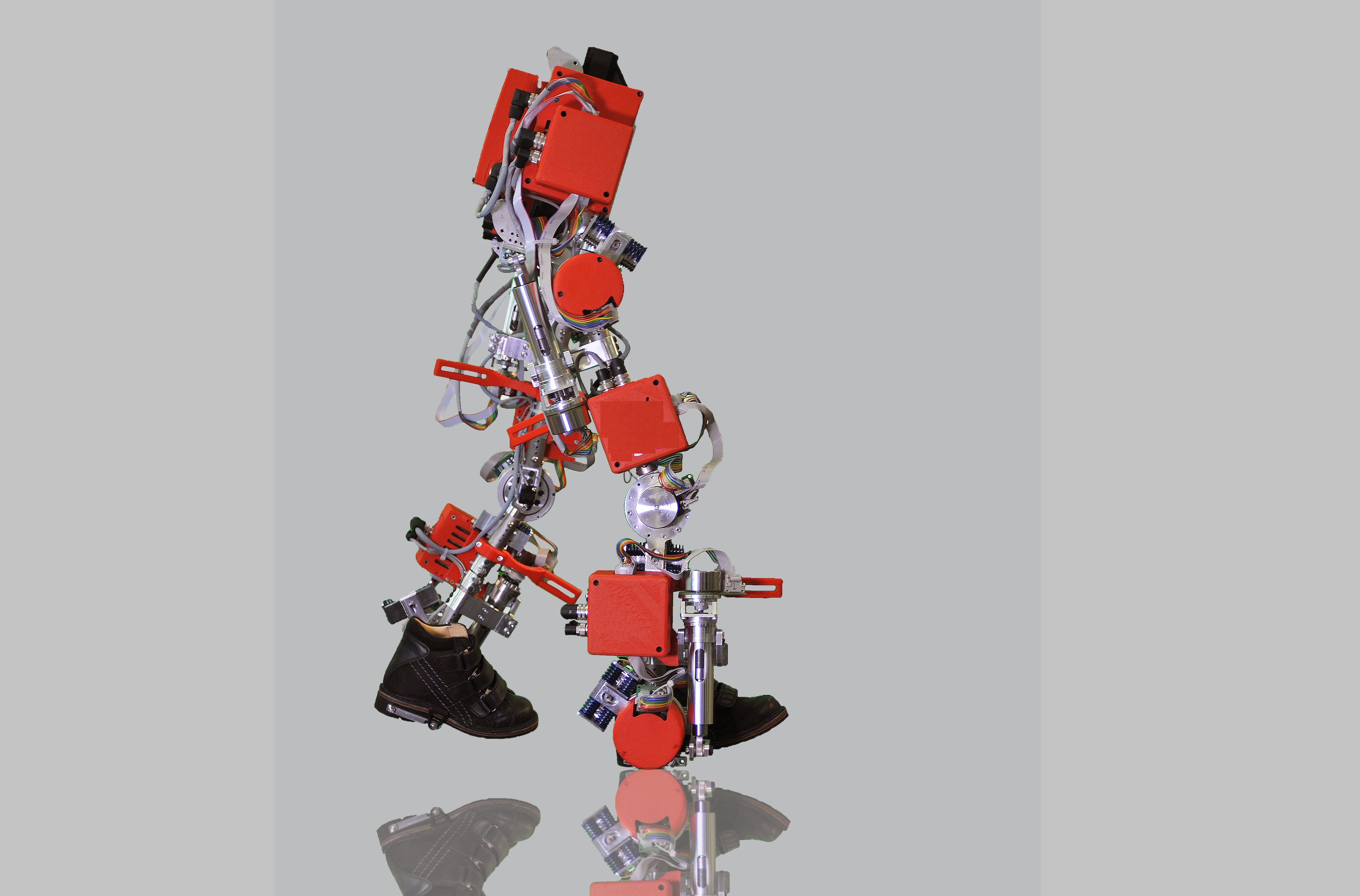 El objetivo es que en el futuro haya un exoesqueleto para cada enfermedad que lo pueda requerir.  /   EFE