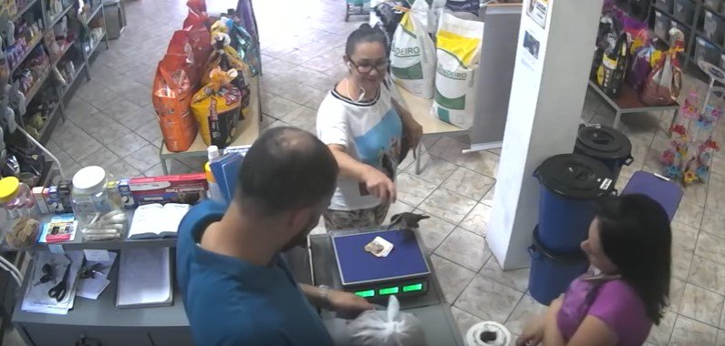 El suceso fue captado por la cámara de seguridad de la tienda.  