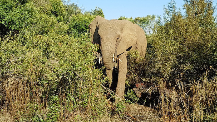 El occiso fue identificado como Sadik Rahman.  /  Foto: Ilustrativa Pixabay