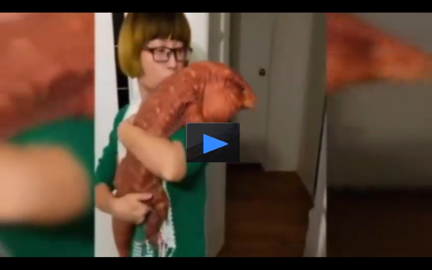 La mascota es tan extraña que no muchas personas lo han visto en su vida.