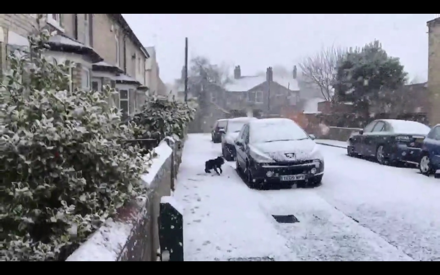 La emoción era tanta que no podía quedarse quieto.