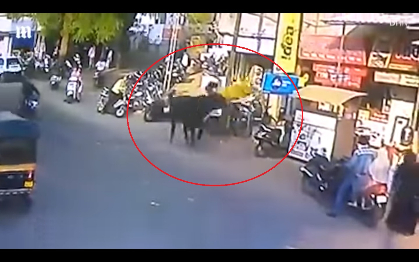 Captura de video  MAD WORLD