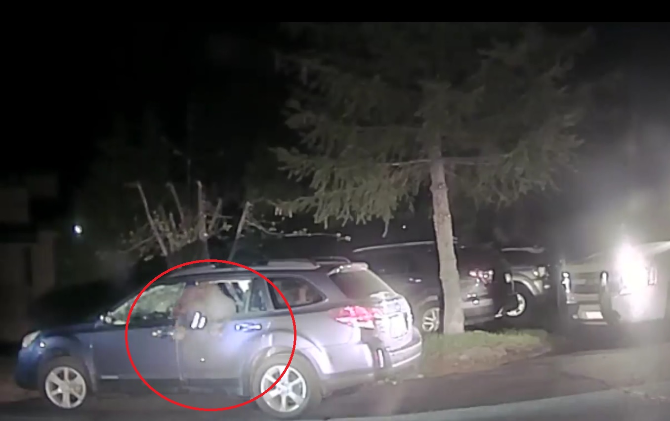 Captura de video oficina del aAlguacil del condado de Placer. 