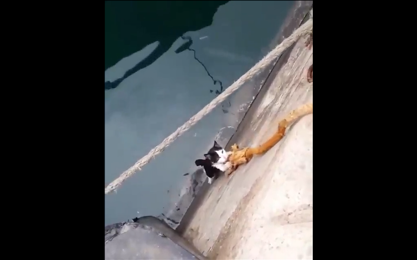 Captura de video @trovatour