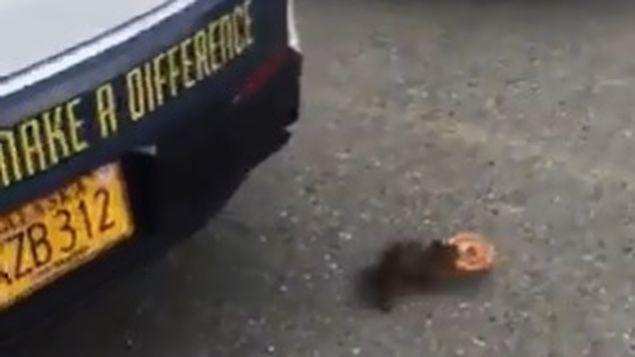 Captura de video Anchorage Police Department