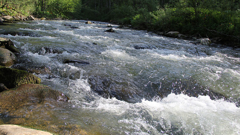 Foto: Ilustrativa - Pixabay