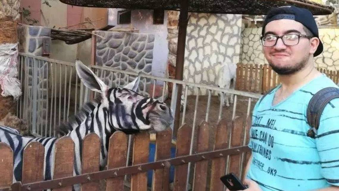 Este año, con el fin de divertir a los niños, los empleados que subcontrata la gestión del zoo, decidieron pintar a los pequeños y también a las dos burras. Foto: Redes Sociales