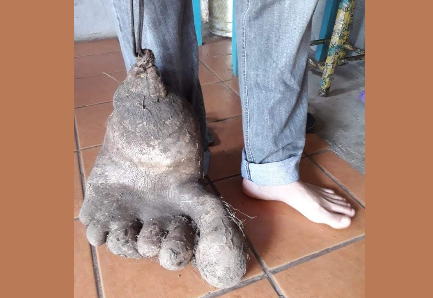 La foto de la singula papa fue colgada en la cuenta de Twitter de @osvarela