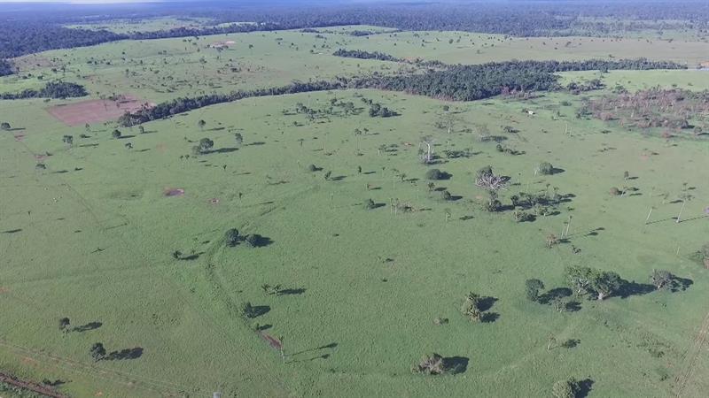 Los investigadores han descubierto en los últimos años un total de 523 geoglifos en el estado de Acre, fronterizo con Bolivia y Perú, país donde se encuentran los famosos de Nazca. EFE/Archivo