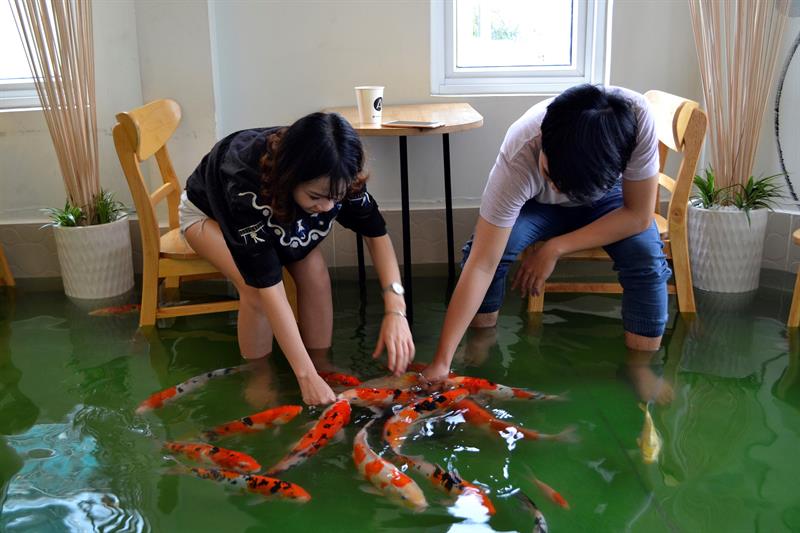 Dos clientes acarician a los peces en la cafetería Amix, un local de Ho Chi Minh (antigua Saigón), parcialmente inundado donde los peces nadan entre las mesas donde los clientes toman café. EFE