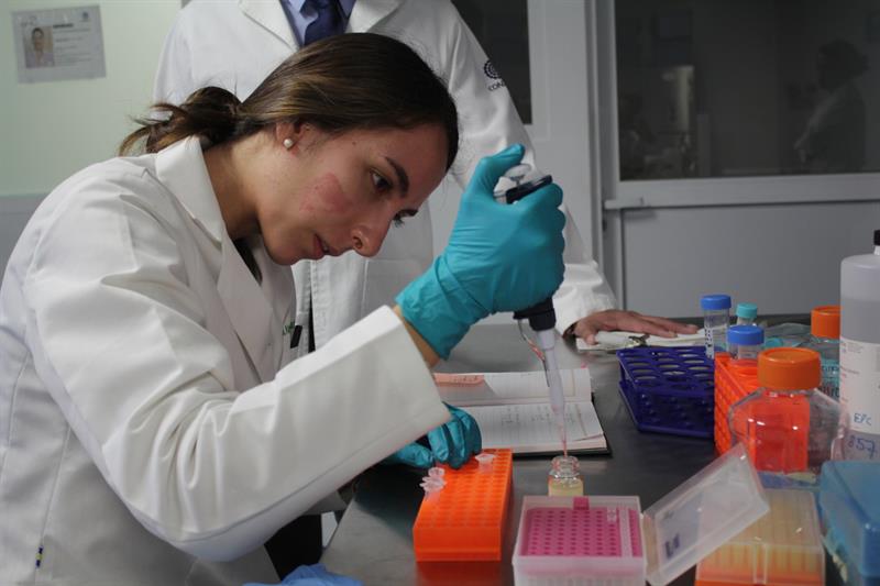 La inmunoterapia es un tratamiento que luce esperanzador para prolongar la esperanza de vida en los pacientes con cáncer de pulmón, dijo a Efe el doctor Jorge Alatorre. EFE/Archivo