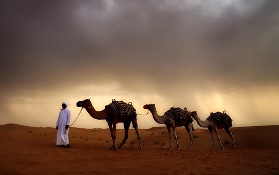 Foto: Ilustrativa - Pixabay