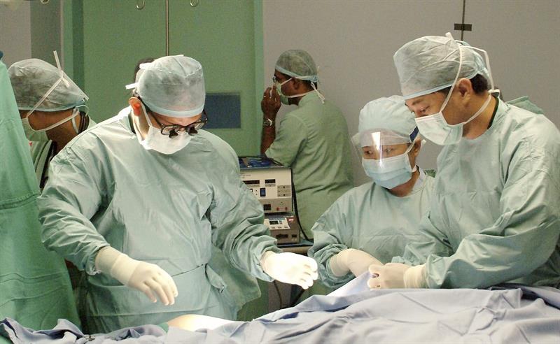 Los expertos desarrollaron un sistema informático de simulación que calcula la formación de estructuras de tejido en tres dimensiones. EFE