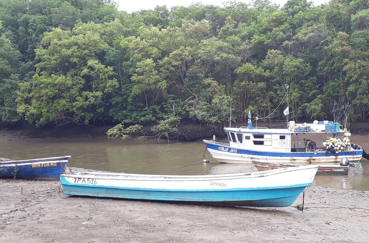 En los últimos meses se ha dado un incremento de hurtos de los equipos de los hombres de mar en esta región de Azuero. Thays Domínguez