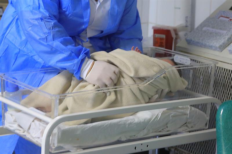 un útero trasplantado a partir de una donante fallecida, que podría aumentar las opciones de concebir para las mujeres con problemas de fertilidad uterina. EFE/Archivo