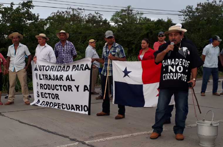 Los productores aseguran que no se han tomado en cuenta sus peticiones, lo que ha llevado al sector a una profunda crisis. Foto: Thays Domínguez