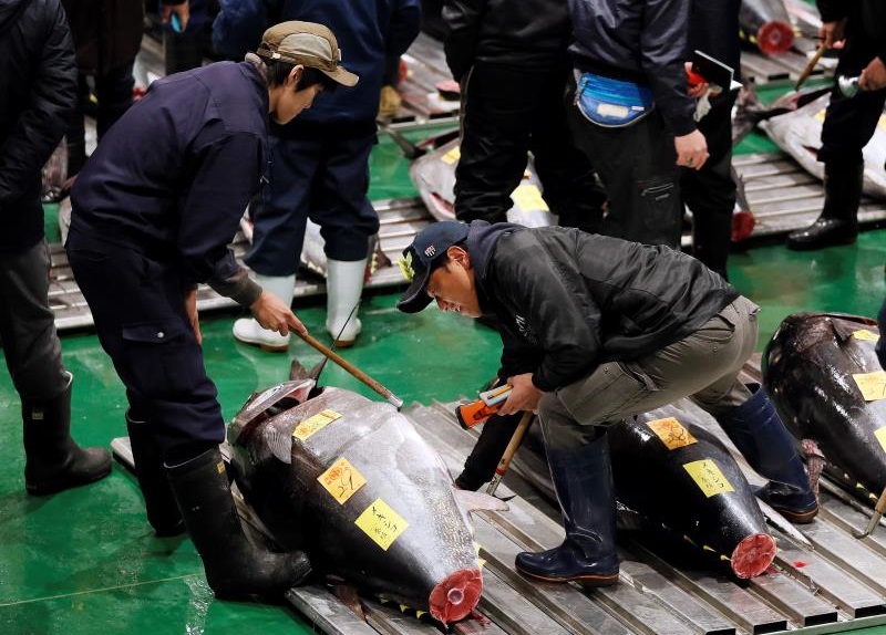 Es tradicional que en la primera subasta del año se alcancen precios extremadamente altos en Tokio. EFE