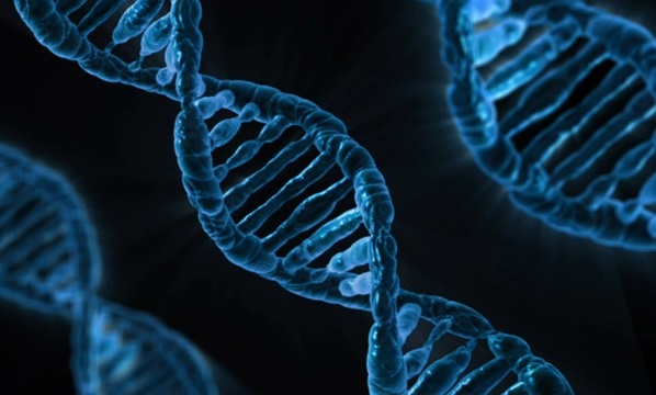 Foto: Ilustrativa - Pixabay