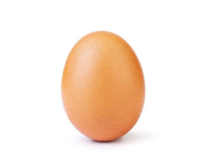 La imagen fue colgada en la cuenta de Instagram: @world_record_egg 