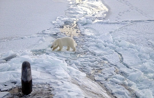 Foto: Ilustrativa - Pixabay