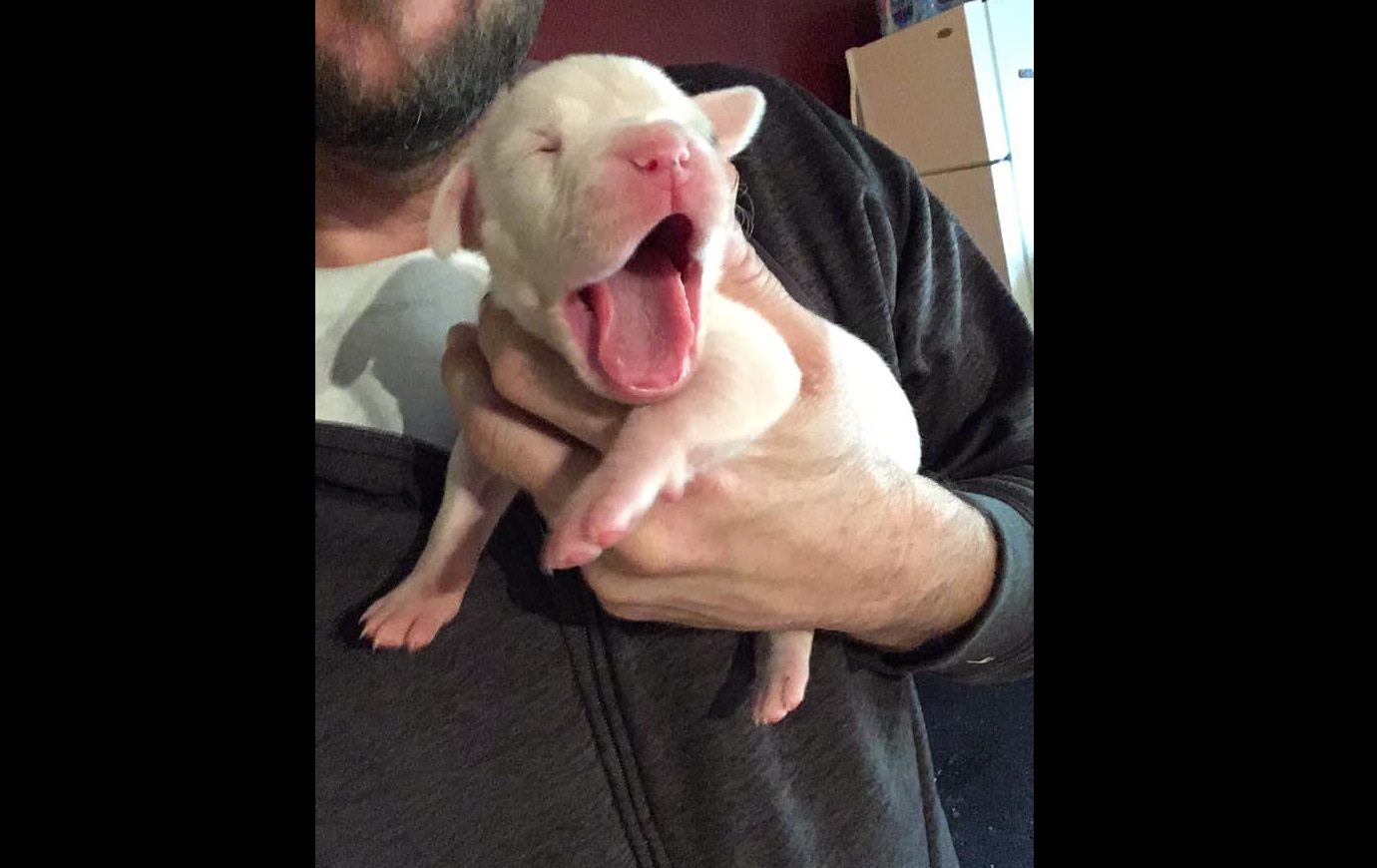 Foto tomada de Facebook: Lester Morrow