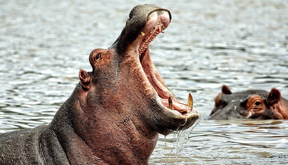 Foto: Ilustrativa - Pixabay