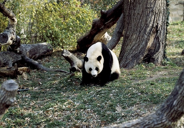 Foto: Ilustrativa - Pixabay