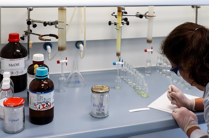 Los datos utilizados fueron recopilados por los cuatro grandes grupos que participan en el Proyecto Internacional del Genoma del Alzheimer (IGAP), según el comunicado publicado por UM. EFE/Archivo