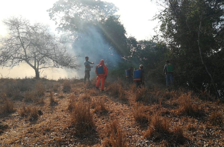 El año pasado los bomberos combatieron unos 400 incendios de masa vegetal. Foto/José Vásquez