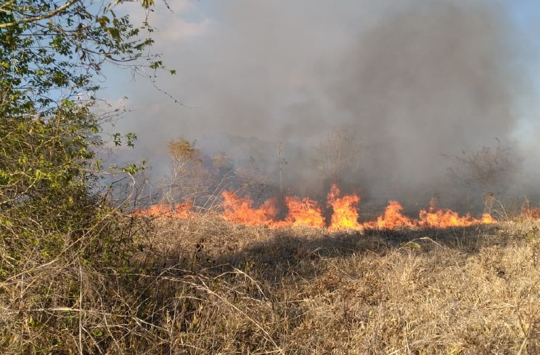 Las autoridades han utilizado todos sus recursos para combatir el incendio forestal y evitar que se propague. Foto/José Vásquez
