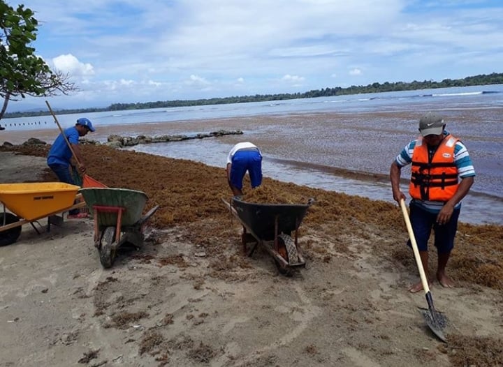 Playas Bocas del Toro. Foto/ Mayra Madrid