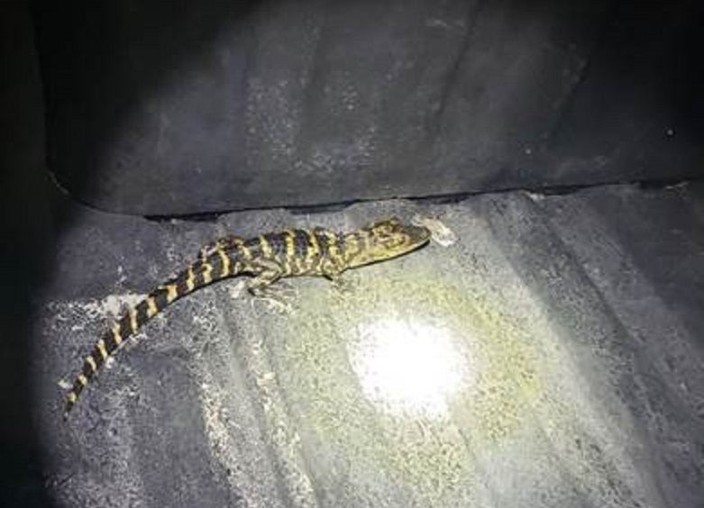 Imagen Charlotte County Sheriff's Office