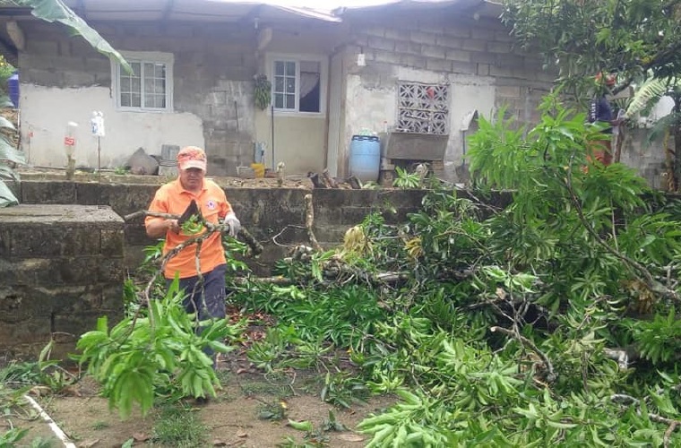 Las lluvias hicieron caer árboles sobre viviendas y causaron el bloqueo temporal de vías en Las Tablas, Pedasí y Bombacho.  T. Domínguez/D. Sánchez S.