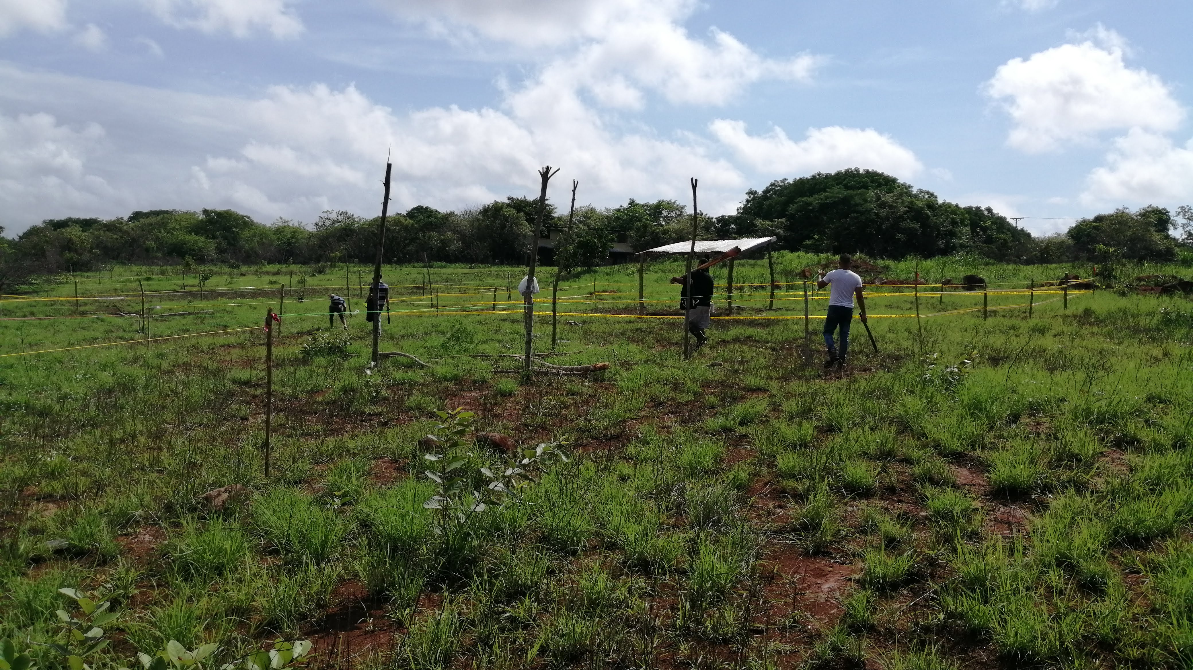Invasión del terreno en La Chorrera. Foto: Eric Montenegro