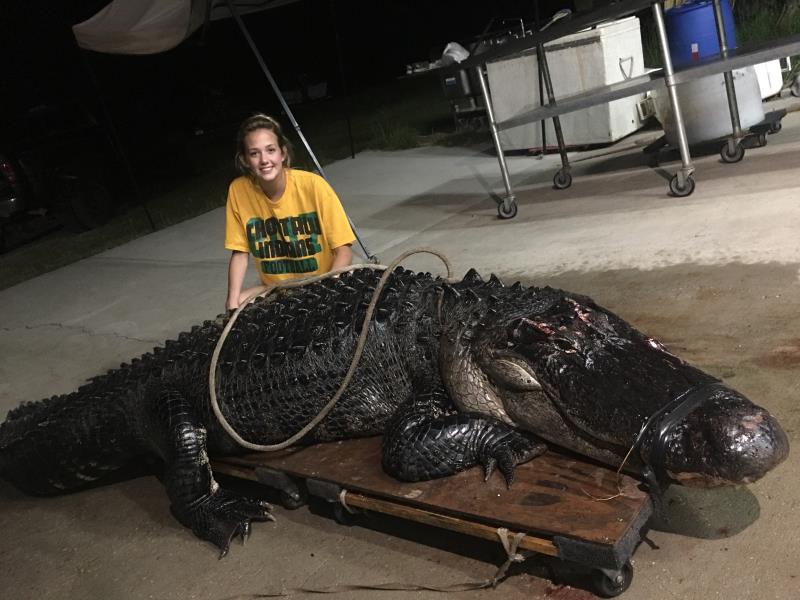 La joven Kelby  posa con el gigantesco caimán de más 3,6 metros de largo y 210 kilos de peso, que chocó con un camión con remolque mientras cruzaba una autopista interestatal, en el noroeste de Florida (EE.UU.). EFE/Vaughan Gators
