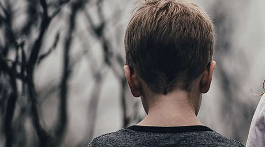 Foto: Ilustrativa - Pixabay