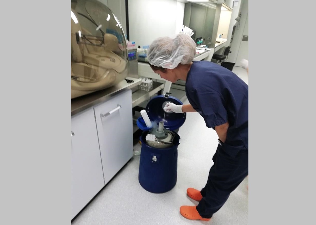 El semen congelado mantiene su viabilidad en condiciones de ingravidez en el espacio, por lo que podría servir para hacer reproducciones de la especie humana fuera de la Tierra. EFE