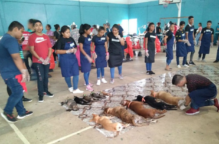 El grupo Arich de La Chorrera junto a Spay/Panamá organizan la jornada que incluye desparasitación y limpieza de oídos. Luis Ávila 