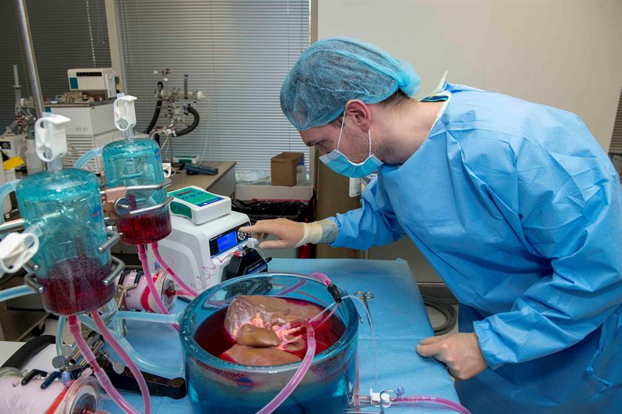 Foto cedida por el Hospital General de Massachusetts. EFE