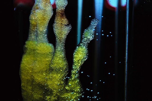 Foto: Ilustrativa - Pixabay