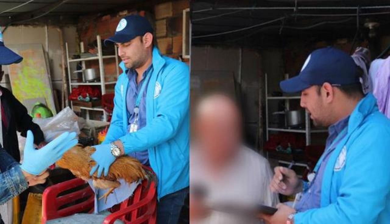 Foto: Instituto Distrital de Protección y Bienestar Animal de Colombia