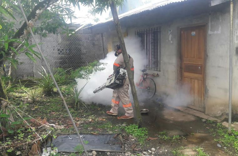 La mayor infestación del mosquito Aedes aegypti es en Las Lomas de Puerto Armuelles, donde 15 de cada 100 casas lo tiene. José Vásquez