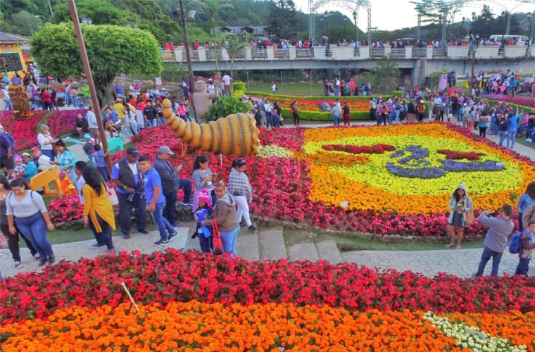 Los jardines, con su espectáculo multicolor, es apreciado por los miles de visitantes. FOTO/MAYRA MADRID