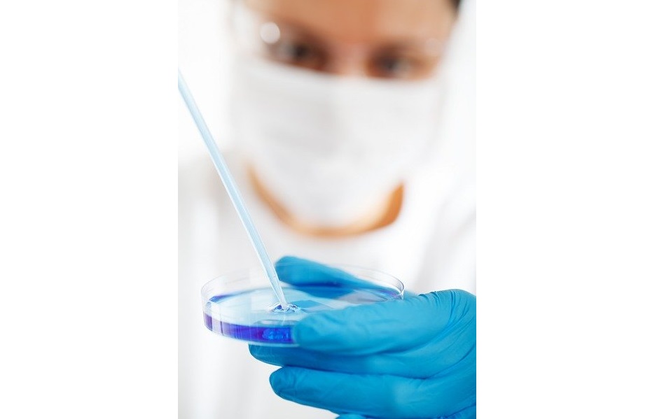 Foto: Ilustrativa - Pixabay